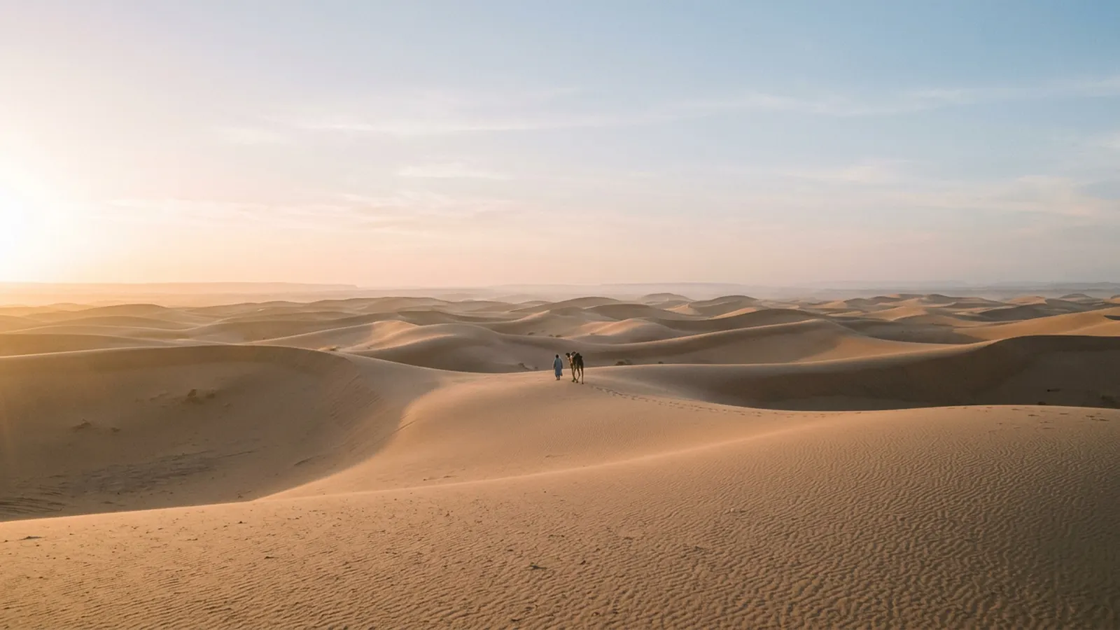 Tentes et dromadaires au crépuscule